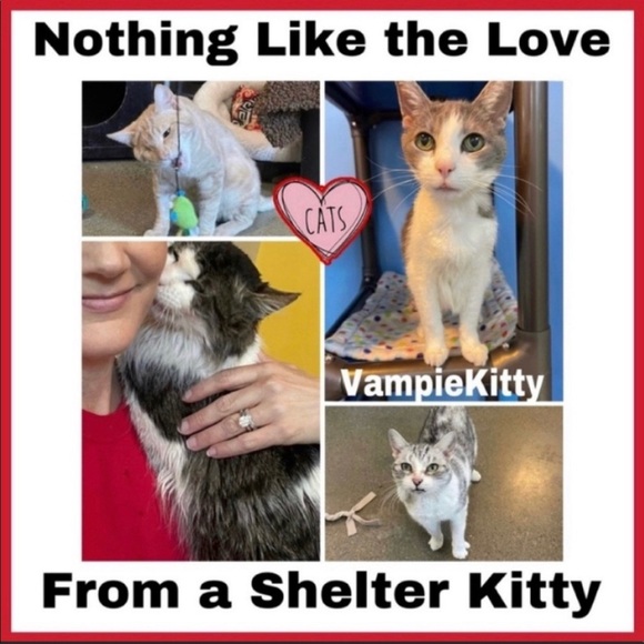 Thank You PFFS for Partying With Me 🔥🐈‍⬛ "Spice Up Your Style Posh Party" 🔥🐈‍⬛ - Picture 3 of 5